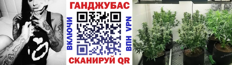 Бошки марихуана гибрид Шелехов